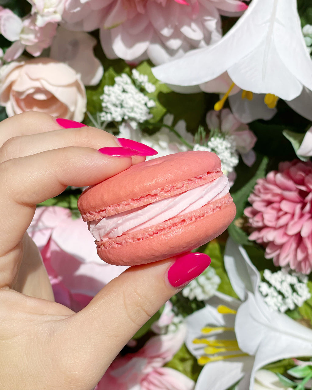 Mixed Macarons