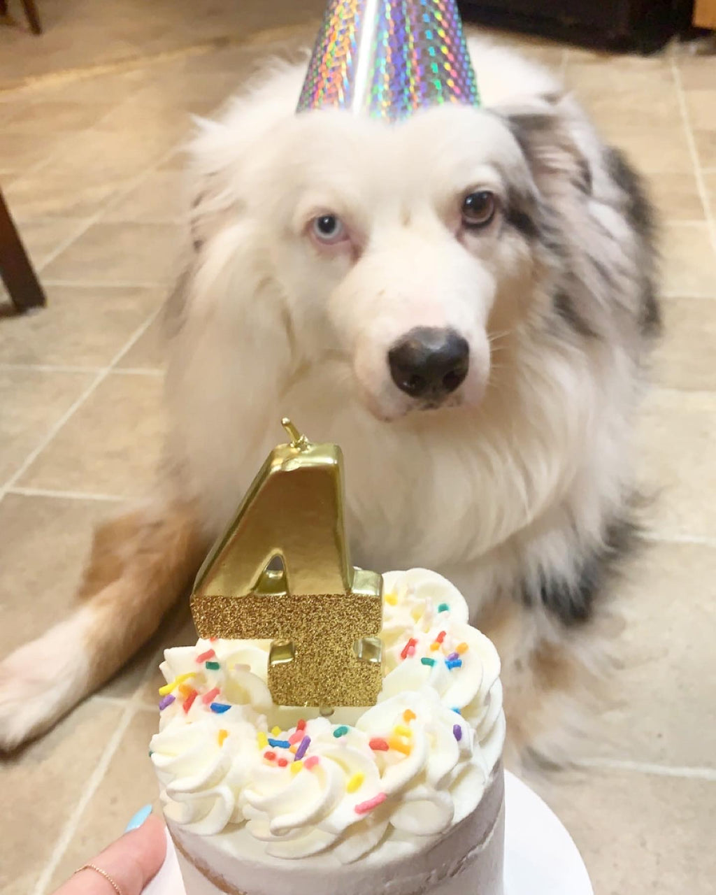 Pupcake